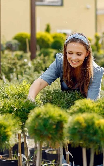 Gardener